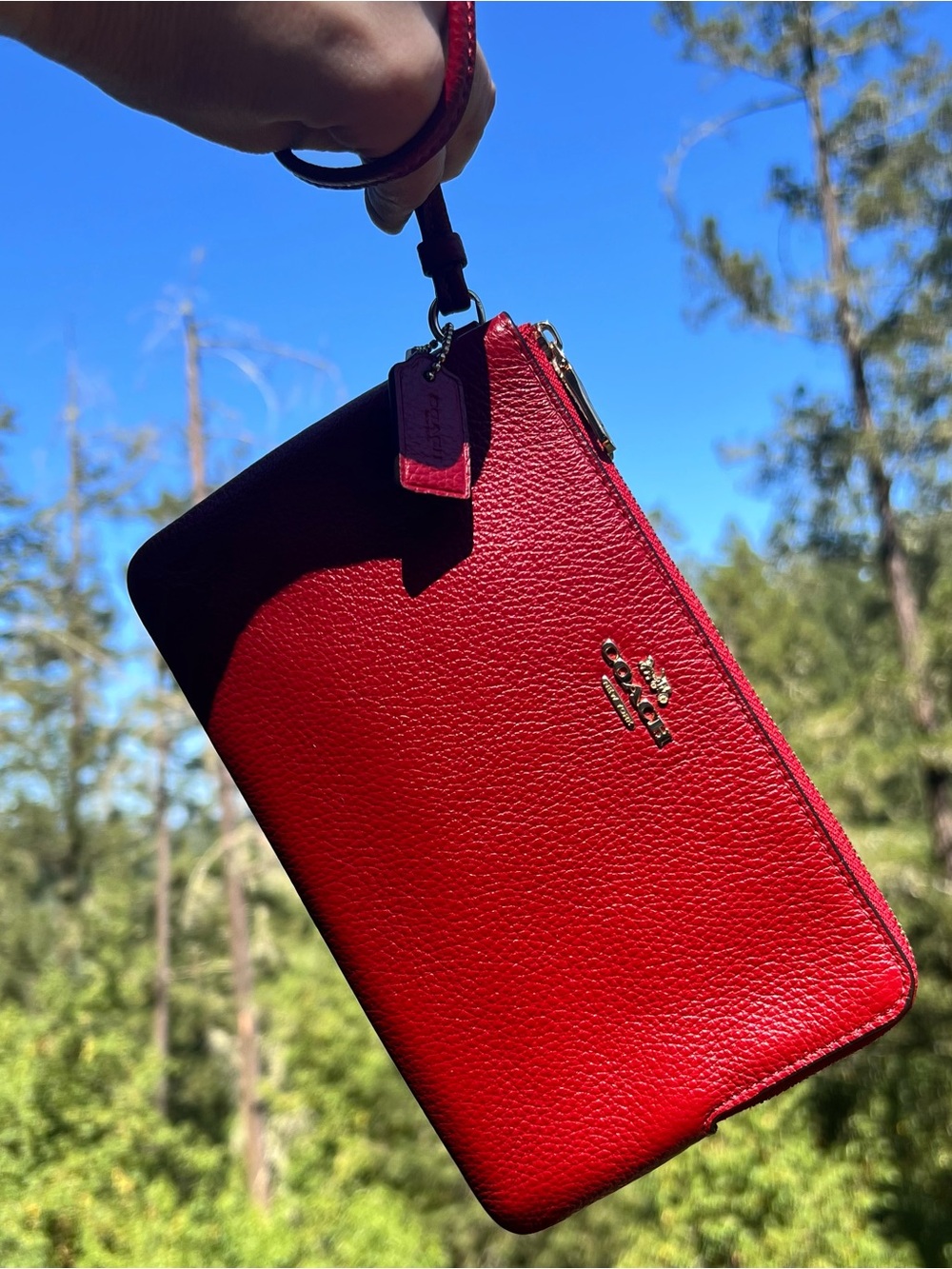 COACH Double Zip Wristlet Phone Wallet Red Pebble Leather Gold Hardware AUTHNTC